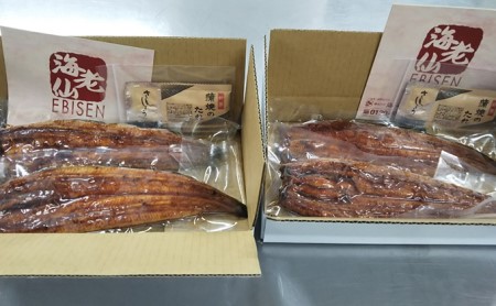 うなぎ 浜名湖産 鰻蒲焼き2本入×2箱セット