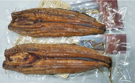 うなぎ 厳選肉厚 浜名湖 鰻蒲焼 約200g × 2匹 国産