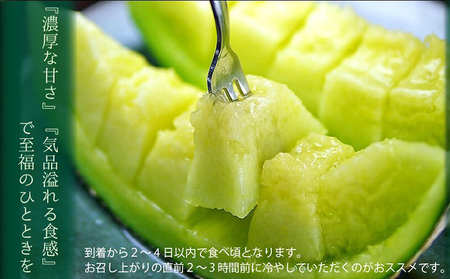 クラウンメロン（白)×1玉＆メロンカレー（170g）×2箱入【ギフト箱入】【配送不可：離島】 果物類 メロン青肉 加工食品 惣菜 レトルト 