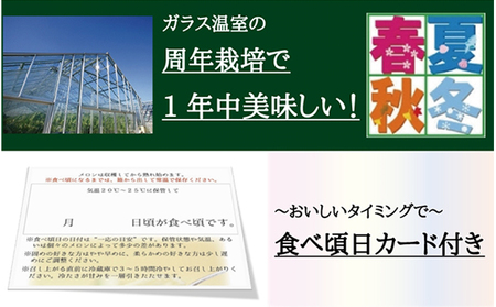クラウンメロン 極み×1玉 桐箱【6ヶ月定期便】【配送不可:離島】 果物類 メロン青肉