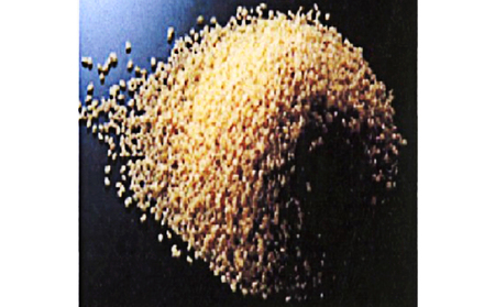 令和4年産】静岡県産米『歓喜の風』精米5kg お米 | 静岡県浜松市