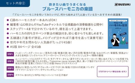 練習環境に困らないサイレンサー付き 10ホールハーモニカ 忍SHINOBIX (C調)と全45曲C調で演奏できる楽譜のセット 雑貨 日用品