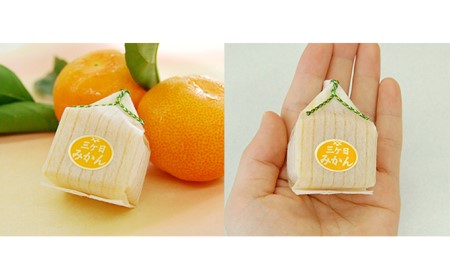 三ヶ日みかんゼリー10個セット【配送不可：北海道・沖縄・離島】 お菓子 ジュレ 