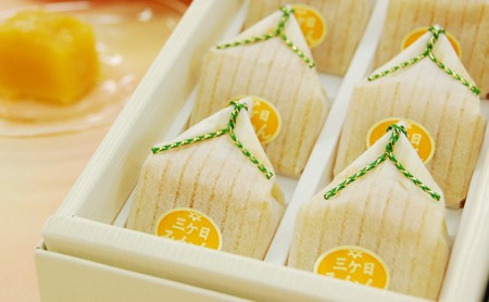 三ヶ日みかんゼリー10個セット【配送不可：北海道・沖縄・離島】 お菓子 ジュレ 