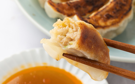 肉工房「味楽幸」国産豚、国産キャベツで作る浜松餃子200個入（冷凍配送）【配送不可：離島】 加工品 惣菜 