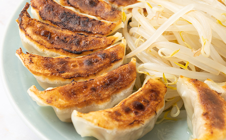 肉工房「味楽幸」国産豚、国産キャベツで作る浜松餃子200個入（冷凍配送）【配送不可：離島】 加工品 惣菜 