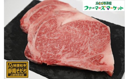 特選和牛静岡そだち サーロインステーキ（冷凍）300g×2枚【配送不可：離島】 牛肉 600g 