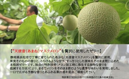 天使音（あまね）マスクメロン ゼリー 90g×8個 フルーツ 果物 メロン 静岡県 浜松市 高級 ゼリー