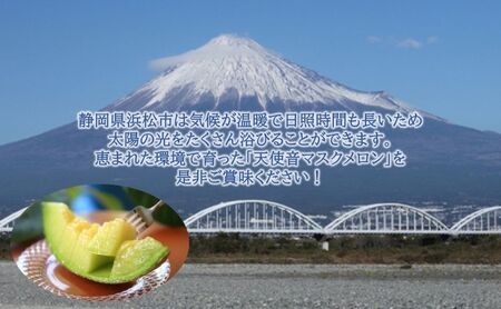 天使音(あまね)マスクメロン グラン・べべ (1.0kg~1.3kg) 1玉 【配送不可:離島】 フルーツ 果物 メロン 静岡県 浜松市 高級