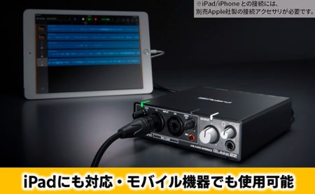Roland】USBオーディオインターフェース/RUBIX22【配送不可：離島 