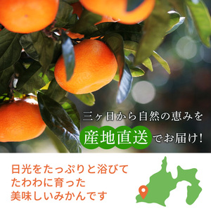 【2026年3月上旬より順次発送】三ケ日みかん「誉れ」 約4kg