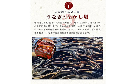 うなぎ 浜松 国産 鰻 蒲焼 3尾 (160g×3尾 タレ75ml×1 山椒付) セット 勝美 土用の丑の日 丑の日 小分け 真空パック 国産うなぎ 浜松うなぎ 浜名湖うなぎ 蒲焼き ギフト プレゼント 贈答 浜名湖 産地直送 冷凍 冷凍配送 静岡 静岡県 浜松市