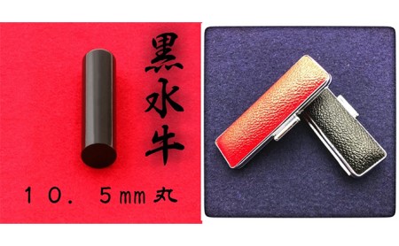 黒水牛10.5mm（5書体）牛革ケース（黒） 民芸品 工芸品  てんしょたい