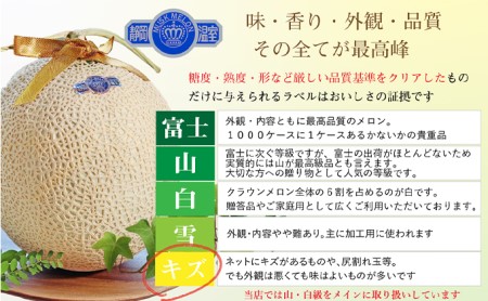 ワケありメロン2玉入り（クラウンメロン） 果物類 メロン青肉 訳あり フルーツ ※順次発送