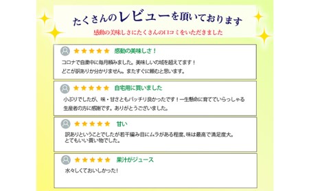 ワケありメロン3玉入り（クラウンメロン） 果物類 メロン青肉 フルーツ 訳あり ※順次発送