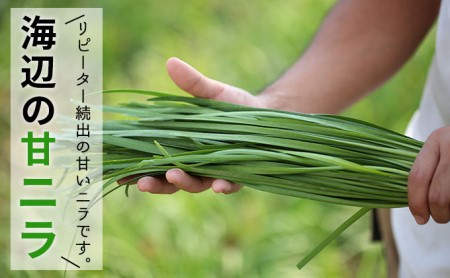 おとなりさんち厳選！浜松から鮮度抜群！旬の野菜BOX【定期便3か月分】【配送不可：沖縄・離島】 セット 詰合せ 