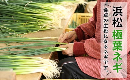 おとなりさんち厳選！浜松から鮮度抜群！旬の野菜BOX【定期便3か月分】【配送不可：沖縄・離島】 セット 詰合せ 