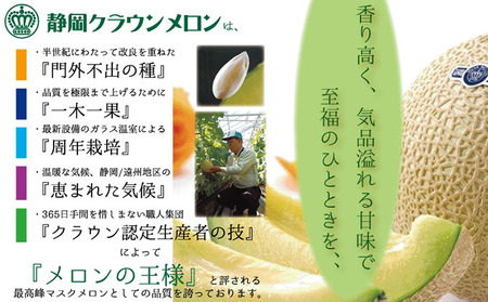 クラウンメロン白等級1玉入【奇数月6回定期便】【配送不可:離島】 果物類 メロン青肉