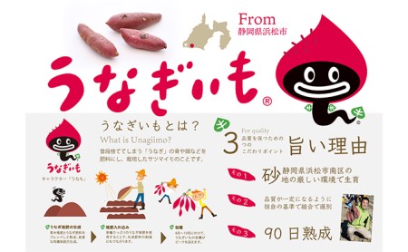 【2025年10月より順次発送】うなぎいも 5kg【配送不可:北海道】さつまいも 熟成 糖度が高い 贈答品 野菜 イモ