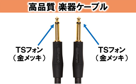 【Roland純正】高品質楽器ケーブル 1m/RIC-G3【配送不可：離島】 雑貨 日用品 