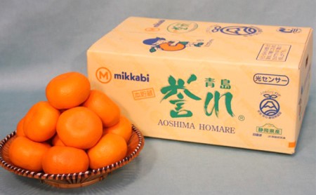 三ケ日みかん「誉れ」 約5kg