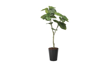 光の楽園 ウンベラータ1.35【配送不可:北海道・沖縄・離島】 インテリア 光触媒 人工植物 造花 フェイクグリーン 花 フラワー 清浄 消臭