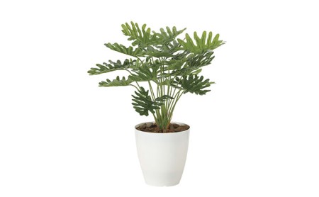 光の楽園 フレッシュクッカバラ【配送不可:北海道・沖縄・離島】 インテリア 光触媒 人工植物 造花 フェイクグリーン 花 フラワー 清浄 消臭