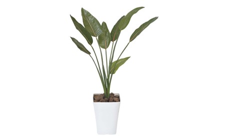 光の楽園　ストレチア 1.1【配送不可：北海道・沖縄・離島】 インテリア 造花 フェイクグリーン 花 フラワー 清浄 消臭 