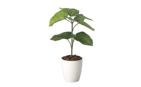 光の楽園　ウンベラータ60【配送不可：北海道・沖縄・離島】 インテリア 光触媒 人工植物 造花 フェイクグリーン 花 フラワー 清浄 消臭 