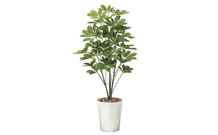 光の楽園 シェフレラ90【配送不可：北海道・沖縄・離島】 インテリア