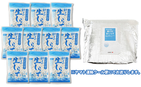 【数量限定】浜松生しらす（冷凍）100g×10パック 魚貝類 10袋 