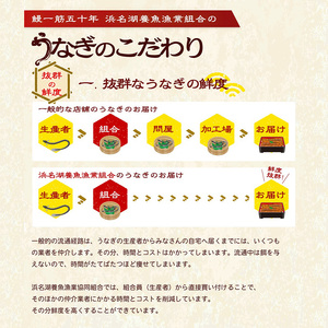 浜名湖産うなぎ長蒲焼パック80g×3枚入り【国産うなぎ】【配送不可：離島】 鰻 土用の丑の日 静岡県 浜松市