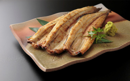浜名湖うなぎ白焼（長焼） 120g×1本【配送不可：離島】 養殖 浜松 職人 手焼き こだわり 深み 滋味 電子レンジ パワーフード 