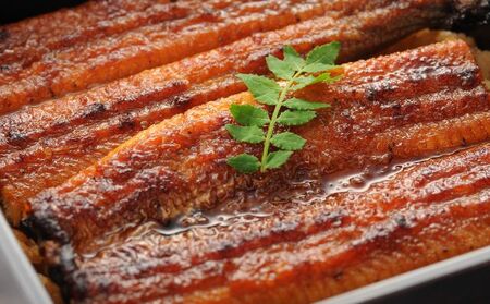 ＜うなぎ＞ 大和養魚 浜名湖うなぎ蒲焼3尾・白焼2尾 計500g【遠鉄百貨店×高島屋】 鰻 