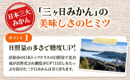三ヶ日みかん プレミアム 早生 5kg S～Lサイズ混合 11月下旬より順次発送 みかん ミカン 蜜柑 早生みかん 三ヶ日 果物 くだもの フルーツ 旬の果物 旬のフルーツ 柑橘 柑橘類 糖度 静岡 静岡県 浜松市