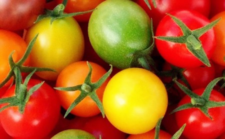 【2023年11月上旬より順次発送】トリアンジュトマト（ミニ）5色のミニトマトのジュエリーボックス