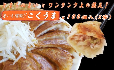 浜松餃子 大須のぎょうざ［ 浜松ぎょうざ とまらぬコクと旨いを堪能！＜ こくうま味 ＞］× 5袋（1袋20個入、合計100個） 惣菜 冷凍 冷凍ギョーザ 夕飯 つまみ 中華 ヘルシー ジューシー 手作り餃子 あっさり 