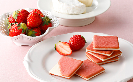 シャトレーゼ お菓子 詰め合わせ １０個 ストロベリーケーキ レモンケーキ - 食品