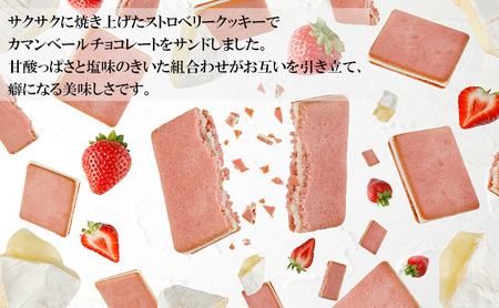 お菓子 詰め合わせ 【フランセ】 レモンケーキ 1箱12個入 ビスキュイ 1