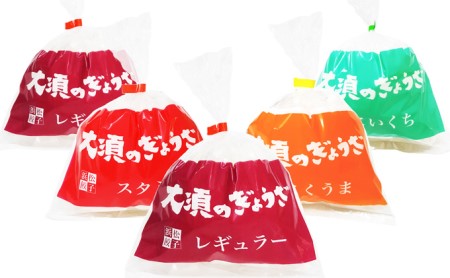 浜松餃子 大須のぎょうざ［ 浜松ぎょうざ 贅沢バラエティーセット 4味 ＜ レギュラー、こいくち、スタミナ、こくうま ＞］× 5袋（1袋20個入、合計100個） 惣菜 点心 中華 おかず つまみ ヘルシー ジューシー キャベツ多め 野菜の甘味 