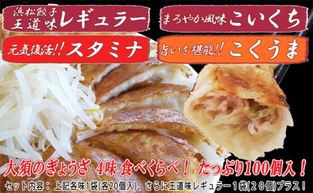 浜松餃子 大須のぎょうざ［ 浜松ぎょうざ 贅沢バラエティーセット 4味 ＜ レギュラー、こいくち、スタミナ、こくうま ＞］× 5袋（1袋20個入、合計100個） 惣菜 点心 中華 おかず つまみ ヘルシー ジューシー キャベツ多め 野菜の甘味 