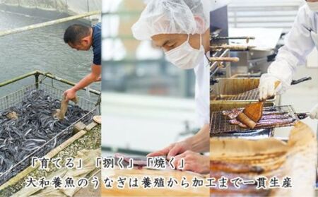 うなぎ 訳あり 浜名湖 国産 蒲焼 きざみ (60g×10) たれ セット 小分け カット うなぎ蒲焼 きざみうなぎ 惣菜 おかず 丑の日 ひつまぶし 鰻 冷凍 静岡 浜松市 5月6日以降順次発送 配送不可：離島