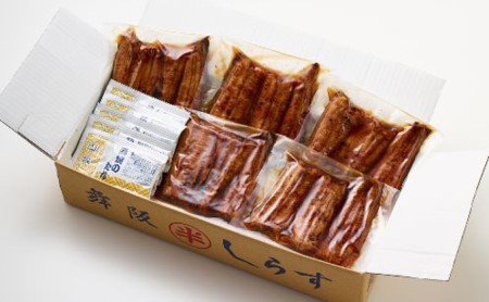 〈丸半堀江商店〉浜名湖産 串焼きうなぎ蒲焼 5袋（100g以上×5袋・タレ・山椒付き）【配送不可：離島】 国産 真空パック つまみ 晩酌 お酒のあて 肴 鰻の串焼き 鰻の蒲焼 