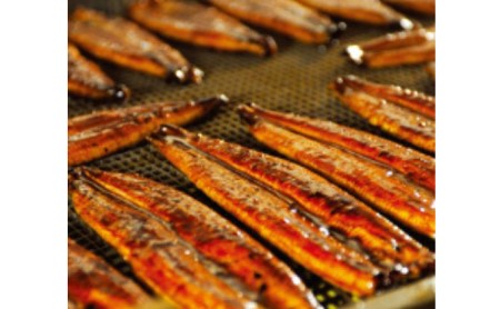 〈丸半堀江商店〉浜名湖産 串焼きうなぎ蒲焼 7袋（100g以上×7袋・タレ・山椒付き）【配送不可：離島】 国産 真空パック つまみ 晩酌 お酒のあて 肴 鰻の串焼き 鰻の蒲焼 