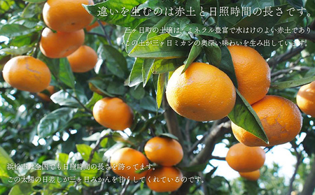 みかん 三ヶ日みかん 青島 10kg 陽だまりファーム 三ヶ日 青島みかん 果物 フルーツ 柑橘 柑橘類 旬 冬 旬の果物 旬のフルーツ 産地直送 静岡 静岡県 浜松市 先行 予約 2026 2026年 1月上旬より順次発送