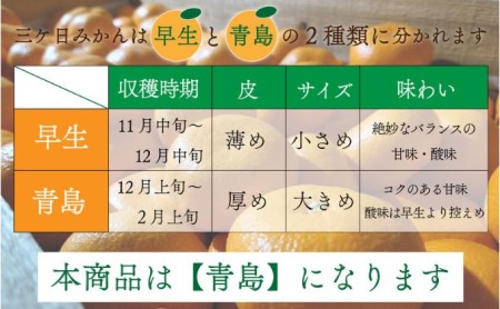 先行予約【2025年1月上旬より順次発送】陽だまりファーム 三ヶ日 青島 みかん 3kg 1箱 果物 柑橘類 フルーツ 三ヶ日みかん 濃厚 熟成 コク 高級ブランドみかん 産地直送 