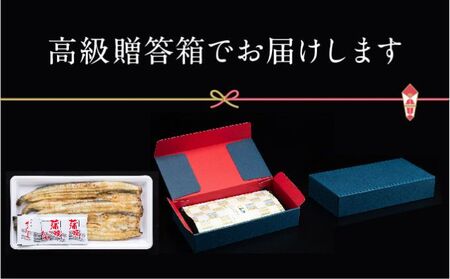 【浜名湖産】朝じめ うなぎ 溶岩焼き 白焼き 2尾（約140g×2尾） 土用の丑の日 丑の日 熟練 職人 国産 天然溶岩 手焼き 鰻専門店 焼きたて 美味しい 冷蔵便 極上 ふわとろ 食感 
