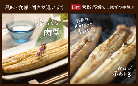 【浜名湖産】朝じめ うなぎ 溶岩焼き 白焼き 2尾（約140g×2尾） 土用の丑の日 丑の日 熟練 職人 国産 天然溶岩 手焼き 鰻専門店 焼きたて 美味しい 冷蔵便 極上 ふわとろ 食感 