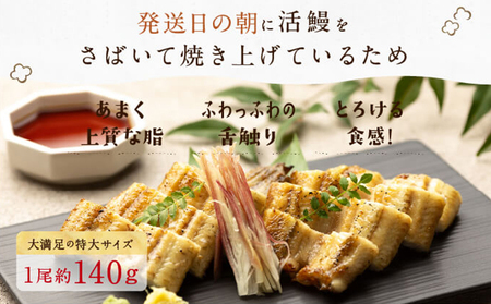【浜名湖産】朝じめ うなぎ 溶岩焼き 白焼き 3尾（約140g×3尾） 土用の丑の日 丑の日 熟練 職人 国産 天然溶岩 手焼き 鰻専門店 焼きたて 美味しい 冷蔵便 極上 ふわとろ 食感 