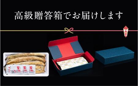 【浜名湖産】朝じめ うなぎ 溶岩焼き 白焼き 3尾（約140g×3尾） 土用の丑の日 丑の日 熟練 職人 国産 天然溶岩 手焼き 鰻専門店 焼きたて 美味しい 冷蔵便 極上 ふわとろ 食感 